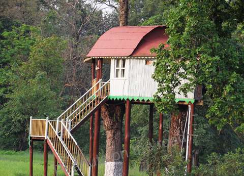 Tree House at Gorumara Elephant Camp, Dhupjhora