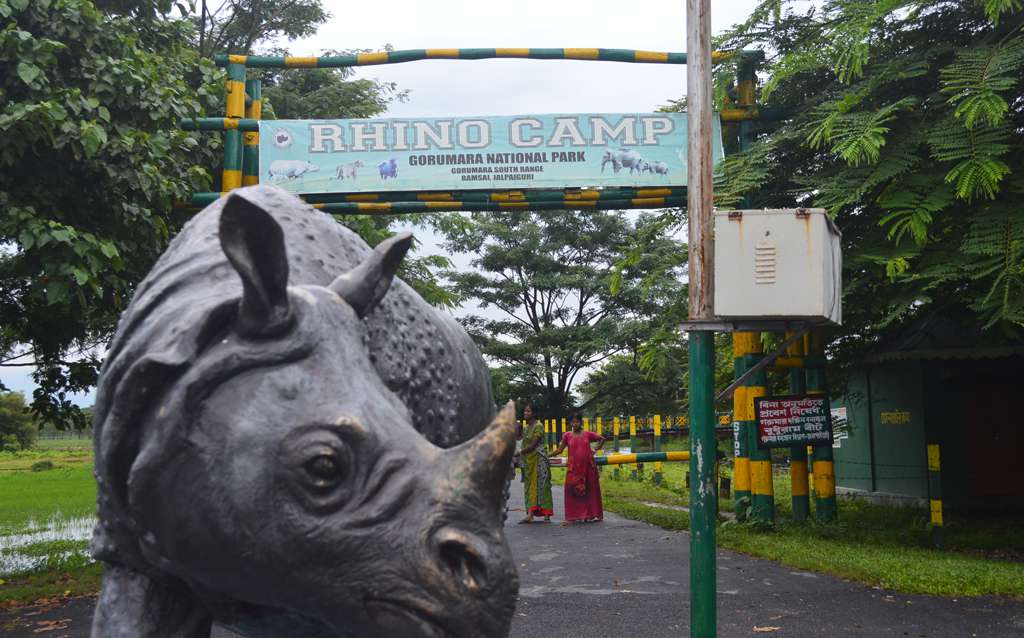 Rhino Statue in front of Rhino Camp