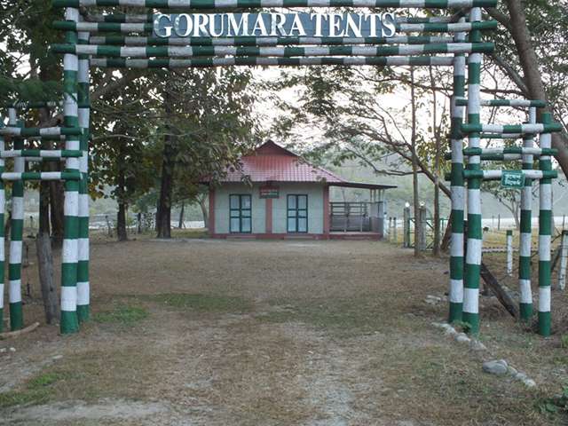 Gorumara Tents, Murti