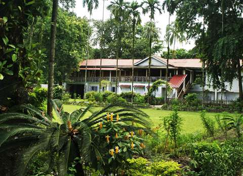 Buxa Jungle Lodge amidst the forest