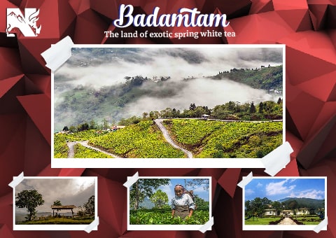 Badamtam, offbeat destination in Darjeeling