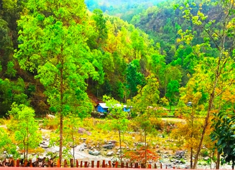 Bidyang, offbeat destination in Kalimpong