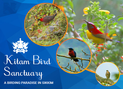 Kitam Bird Sanctuary