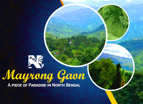 Mayrong Gaon, offbeat destination in Kalimpong