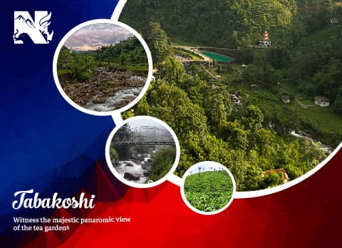 Tabakoshi, offbeat destination in Darjeeling