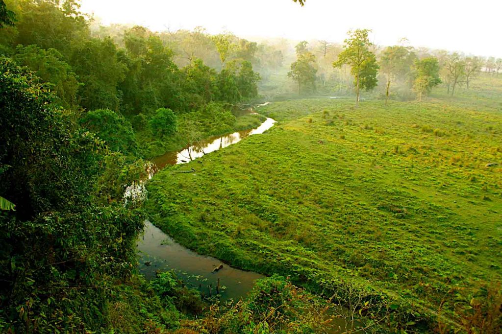 Panoramic view of river stream meandering through the emerald green forest