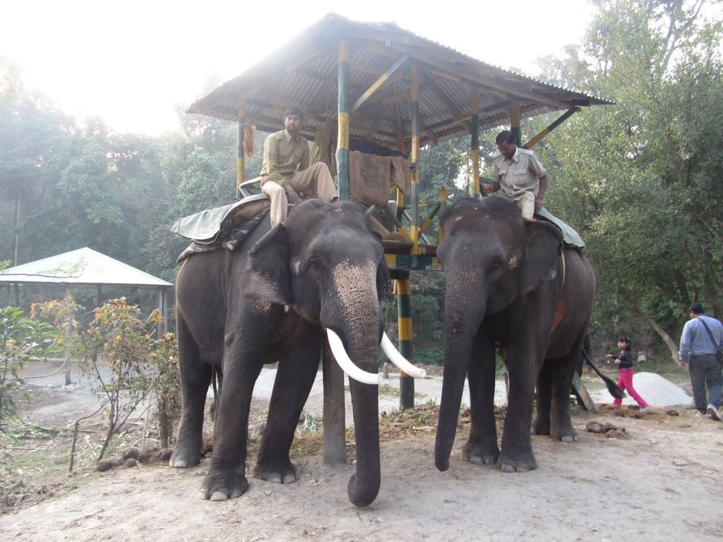 Getting ready for elephant safari in Gorumara