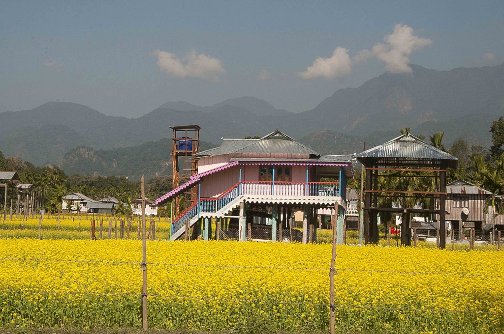 Mustard field of Lepchakha