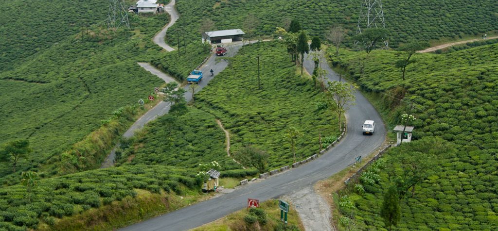 The road leading towards Mirk sprawled with tea garden