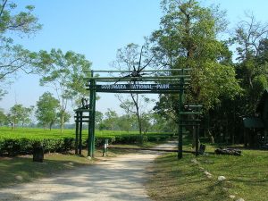 Tourist Lodge of Buxa Tiger Reserve