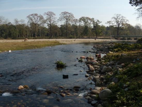 River Murti cascading through the subtropical forest of Dooars