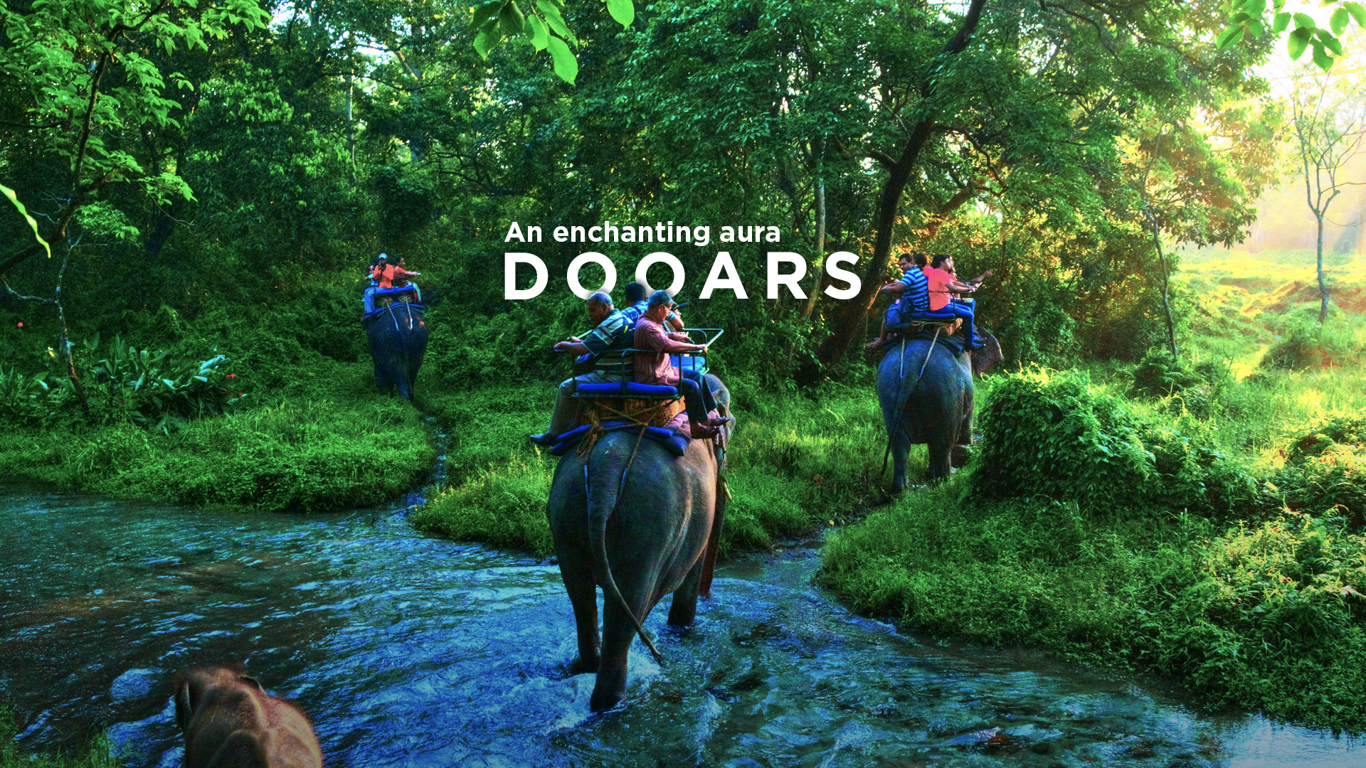 dooars travel tour