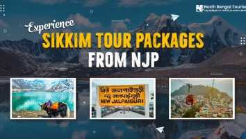 sikkim tour packages from njp