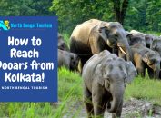 how to reach dooars from kolkata