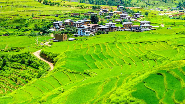 Image of Traditional Farm House