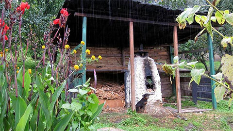 Limbukha