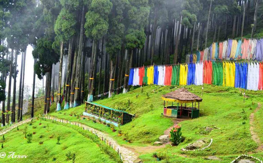 Lamahatta in Darjeeling