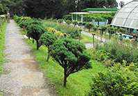Llyod Botanical Garden in Darjeeling