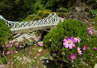 Barbotey Rock Garden in Darjeeling, Places to visit in Darjeeling ...