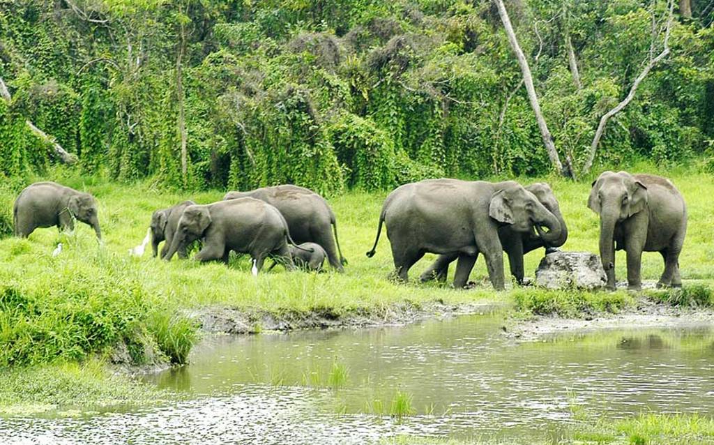 Alipurduar District, Alipurduar Junction