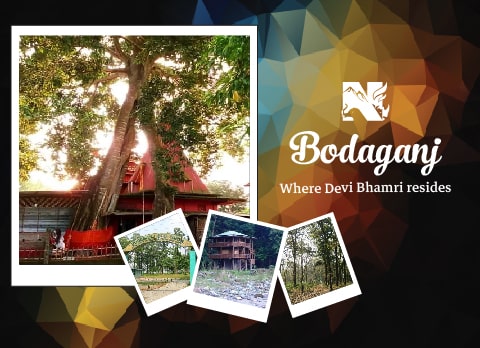 Bodaganj