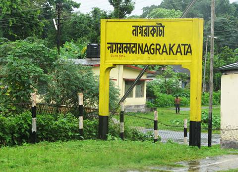 Nagrakata