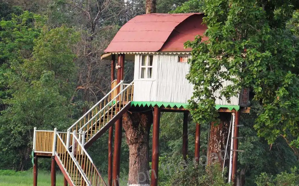 Hero image for Gorumara Elephant Camp Dhupjhora