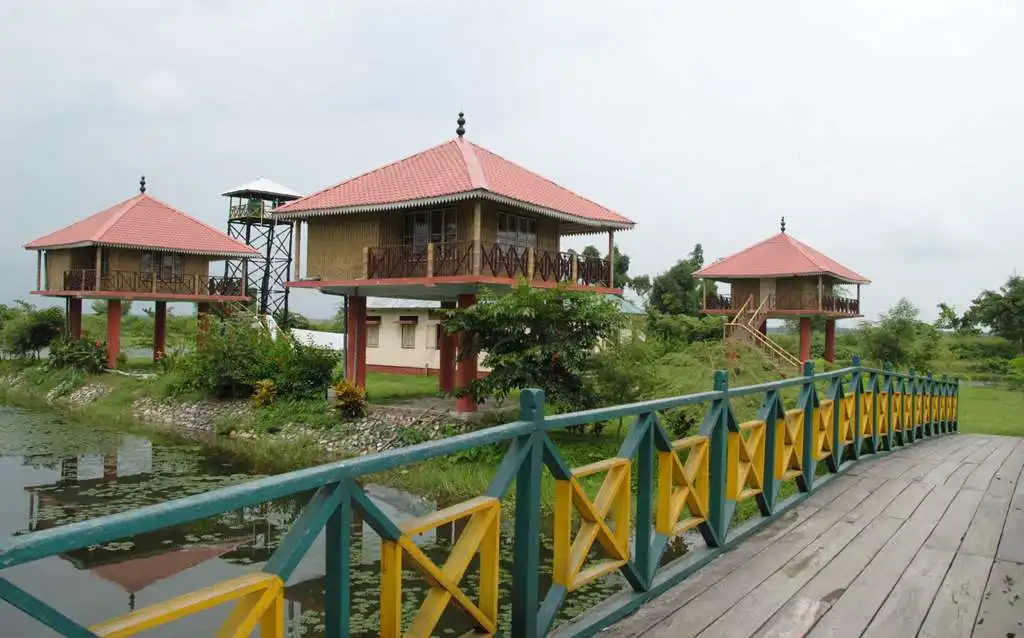 Hero image for Gorumara Rhino Camp Ramsai