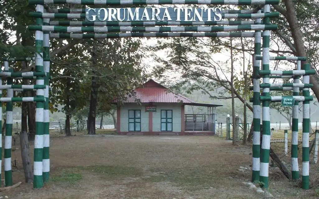 Hero image for Gorumara Tents, Murty