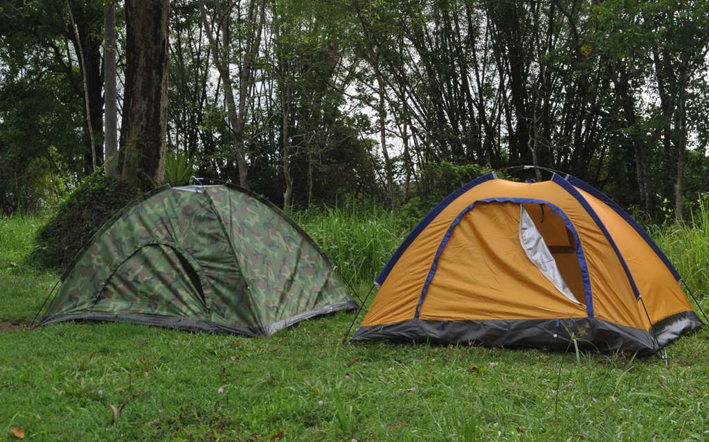 WBSFDA Gorumara Tents