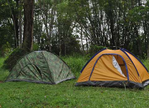 WBSFDA Gorumara Tents