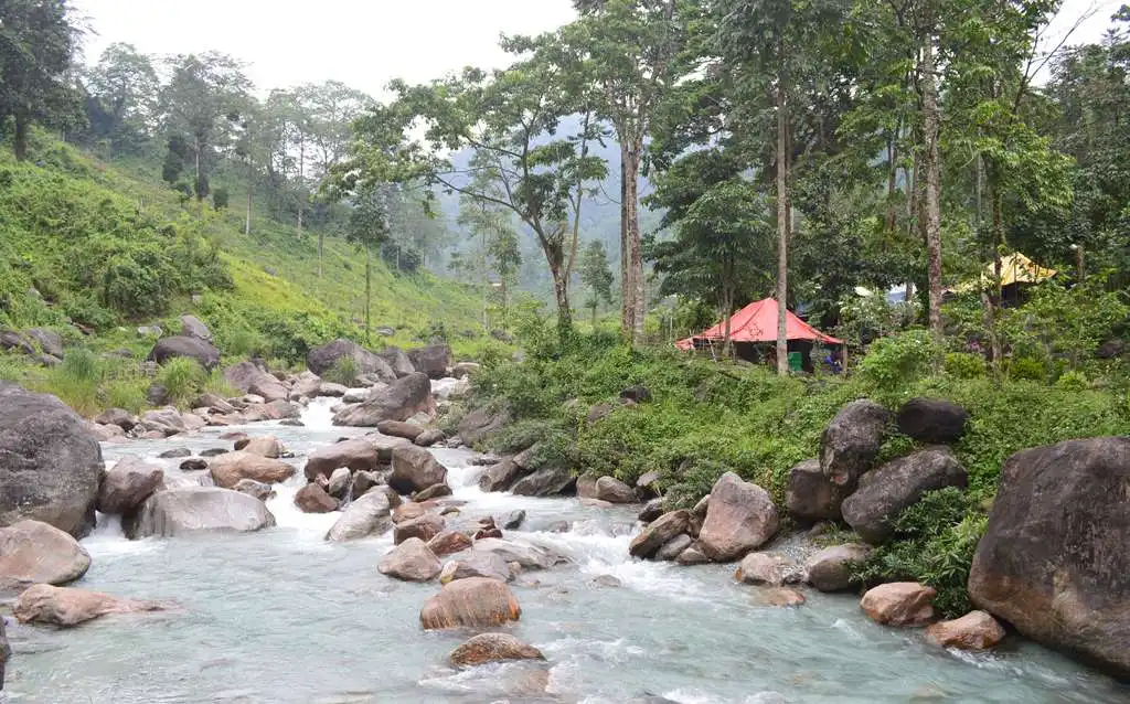 Hero image for Jhallong River Camp