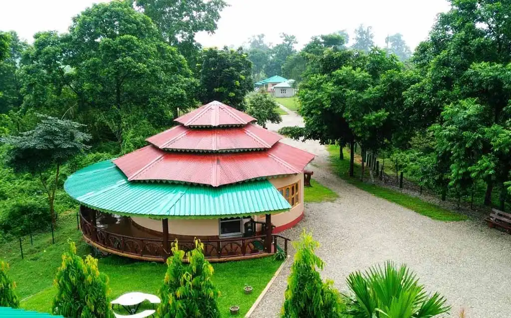 Hero image for Neora Jungle Camp