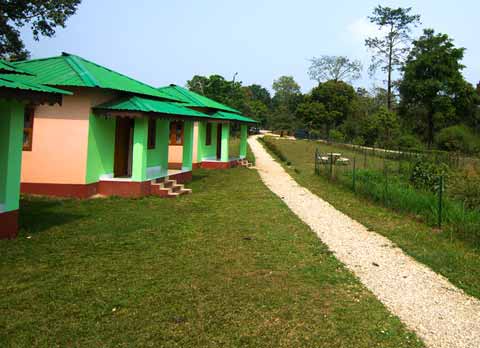Accommodation in Neora Jungle Camp Lataguri