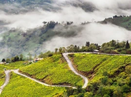 Images of 4 Nights 5 Days Darjeeling Gangtok Itinerary