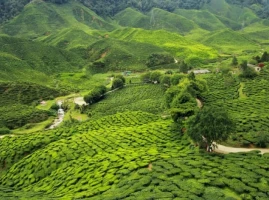 Images of Darjeeling Pelling Tour