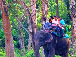 Images of Dooars Tour Plan for 7 Days - Gorumara, Jaldapara, Chilapata, Buxa-Jayanti Tour Package