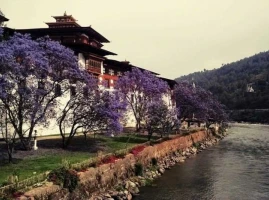 Images of Bhutan Tour Package from NJP