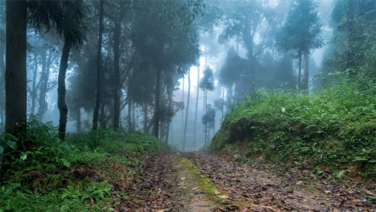 Darjeeling Tour Packages for 4 Days