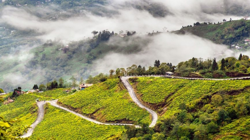 Sikkim Darjeeling Tour Packages for 5 Days