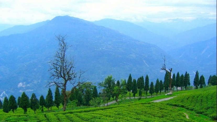 Sikkim Tour Packages for 4 Days