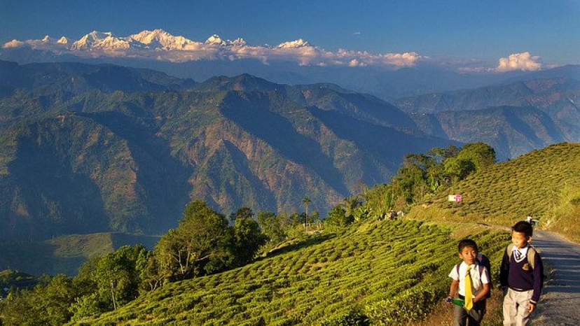 Darjeeling Tour Packages for 9 Days
