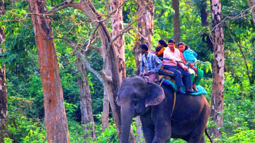 Dooars Dooars Tour Packages for 7 Days