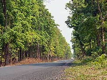 Drop at NJP, Siliguri or Bagdogra Airport