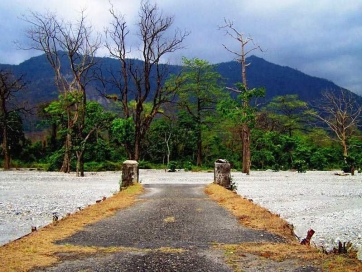 Jungle Safari at Buxa and Local Sightseeing