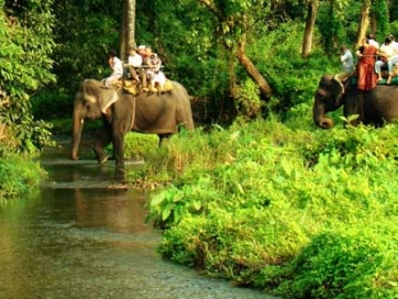 Jungle Safari at Jaldapara and Sightseeing at Cooch Behar, Chilapata