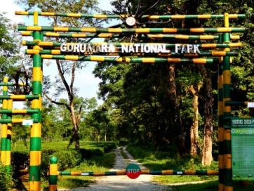 Transfer to Gorumara and Jungle Safari