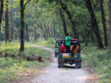 Transfer to Lataguri and Jungle Safari in Gorumara National Park