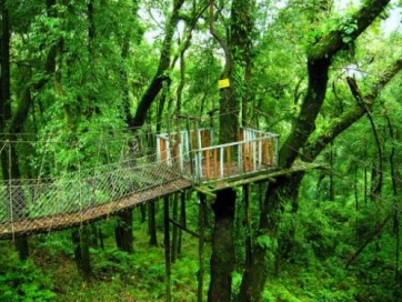 Transfer to Lolegaon via Canopy Walk, Dabling viewpoint