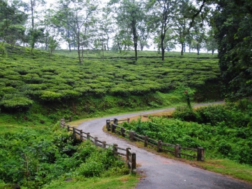 Jhallong, Bindu, Samsing, Suntalekhola, Rocky Island Sightseeing